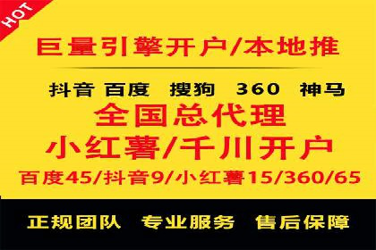 某行业巨头背后的SEM代运营服务公司